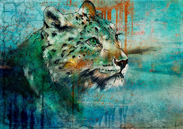 Soul Searcher by RobzLipner