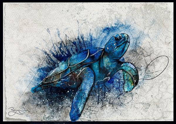 Turtle Me Blue Imprimer