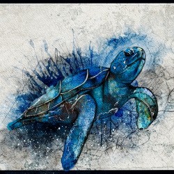 Turtle Me Blue