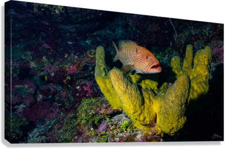 Green Cradle Canvas Print