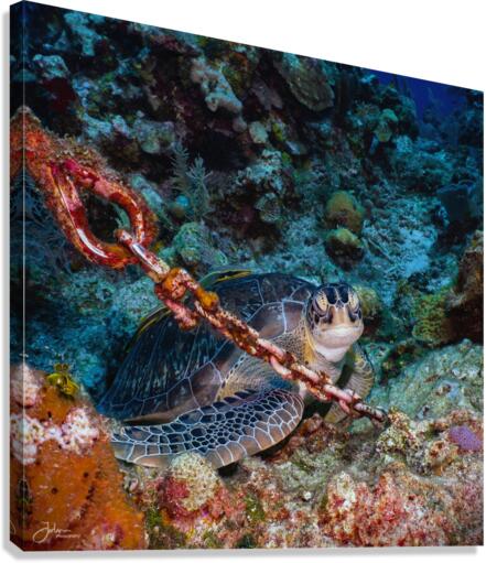 Chained Canvas Print