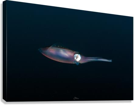 Side Eye Canvas Print