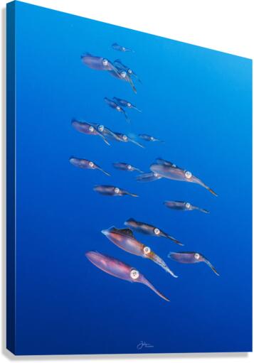 Squid Squad Canvas Print