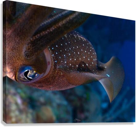 Alien Encounters Canvas Print