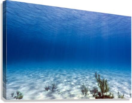 Sand Flats Canvas Print