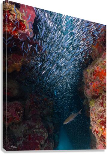 Silverside Cave Canvas Print