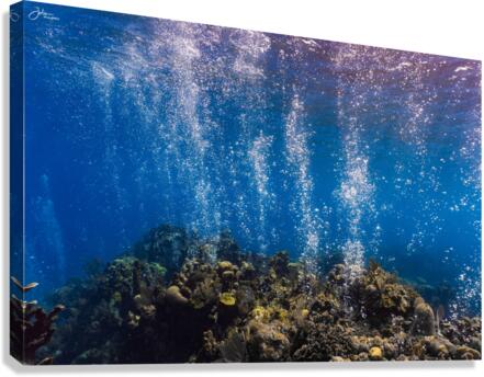 Bubble Maker Canvas Print