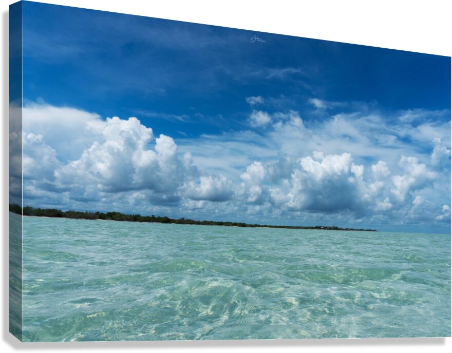 Cotton Clouds Canvas Print
