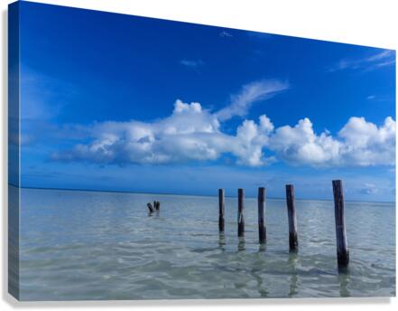 Jetty Canvas Print