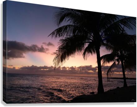Marshmallow Canvas Print