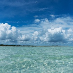 Cotton Clouds