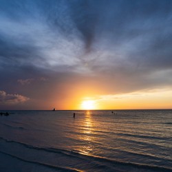 Dusky Holbox