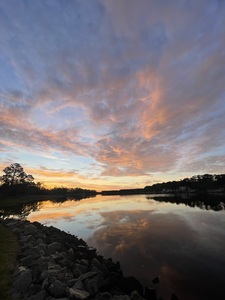 IMG 7761