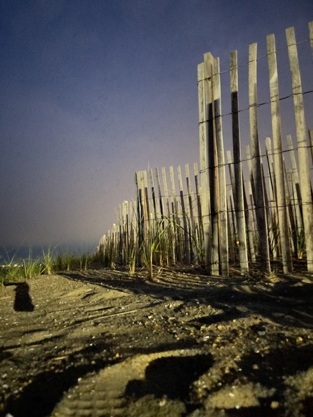 IMG 1478 by Brian