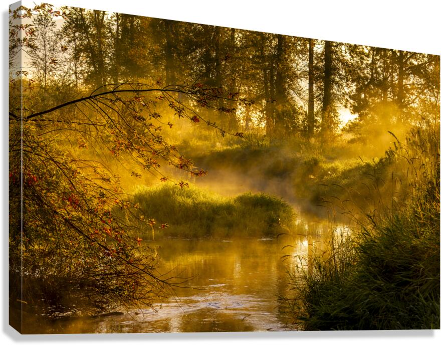 Enchanted Stream Canvas Print