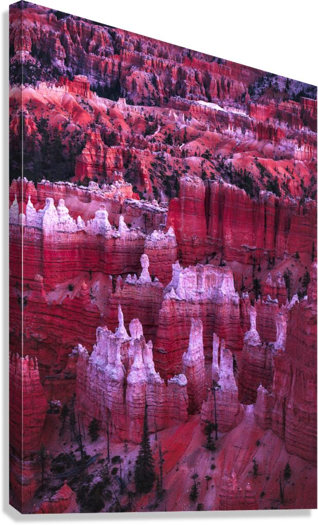 Bryce Towers Canvas Print
