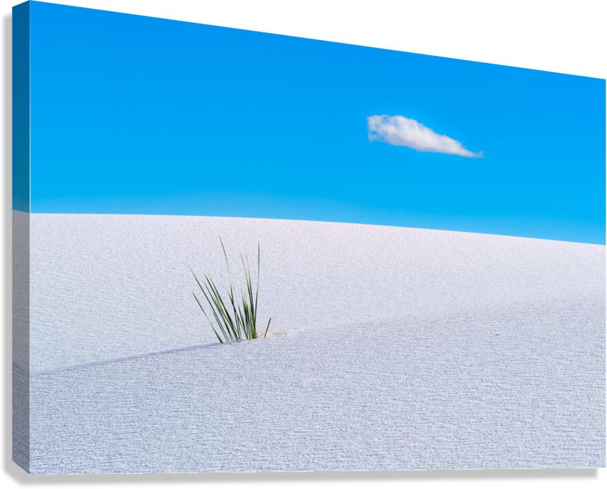 Solitude Canvas Print