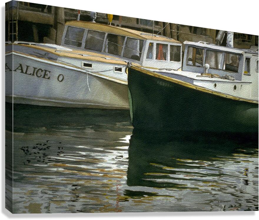 Kestrel Canvas Print