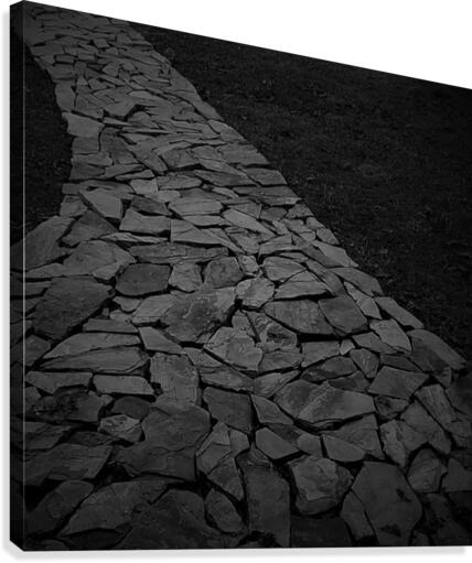 Down A Dark Path Canvas Print