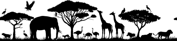 Vector horizontal seamless tropical african savannah with lions elephant girrafe vulture heron hyena common warthog  common warthog grey parrot African ostrich and crowned crane by Save Jungle