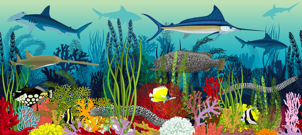Vector underwater coral reef horizontal seamless pattern. Undersea bottom texture with colorful tropical fishes and sharks by Save Jungle