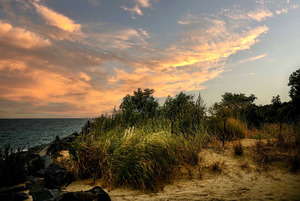 Summer Evening