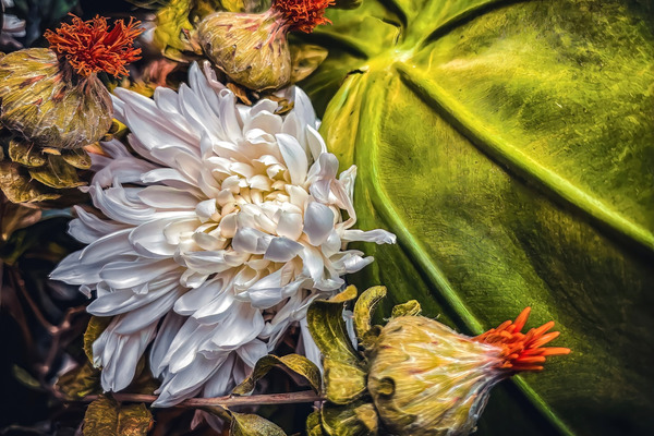 Connections by TRAYVION