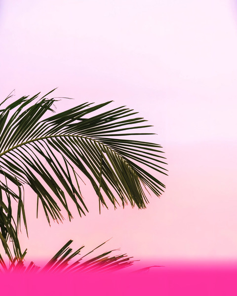 Living Inside Myself by TRAYVION