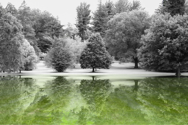 Winter in Summer Print