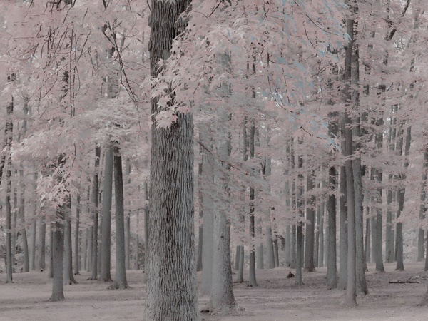 Easier Said by TRAYVION