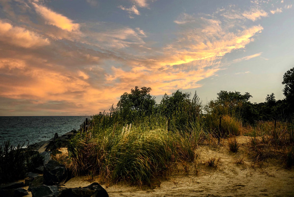 Summer Evening