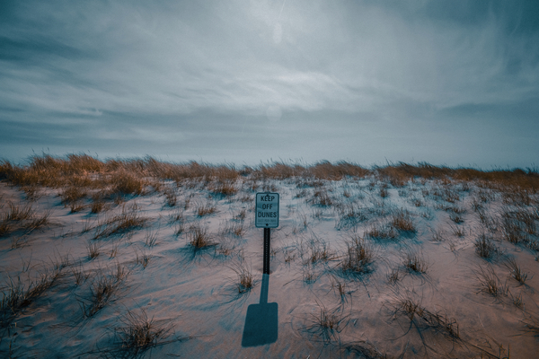 Beautiful Day by TRAYVION