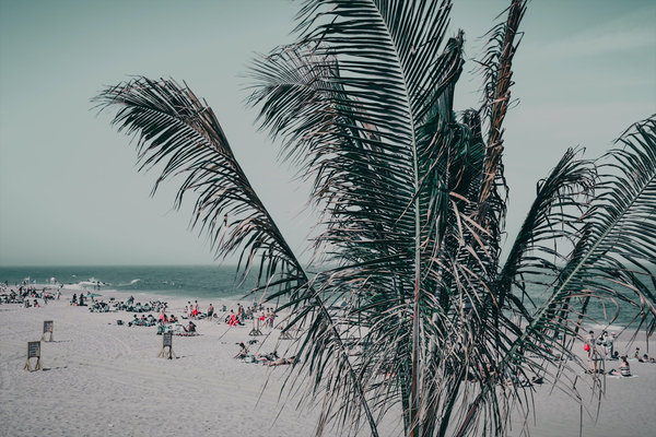 Put On A Smile by TRAYVION