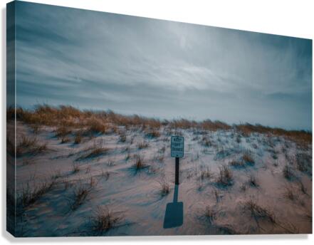Beautiful Day Canvas Print