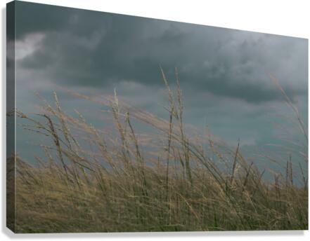 Running Away Canvas Print
