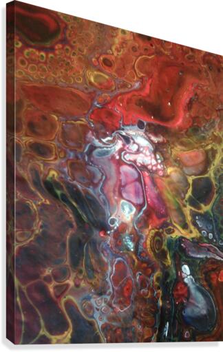 white wizard  Canvas Print