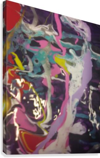 2 jokers Canvas Print