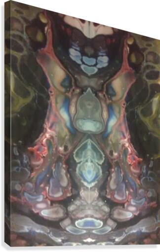 mirror2 Canvas Print