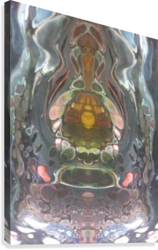 mirror3 Canvas Print