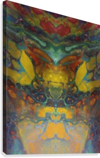 mirror4 Canvas Print