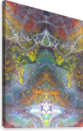 mirror5 Canvas Print