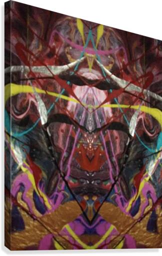 mirror13 Canvas Print