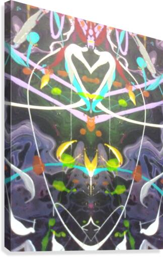 mirror15 Canvas Print
