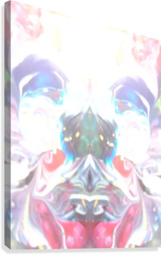 mirror24 Canvas Print