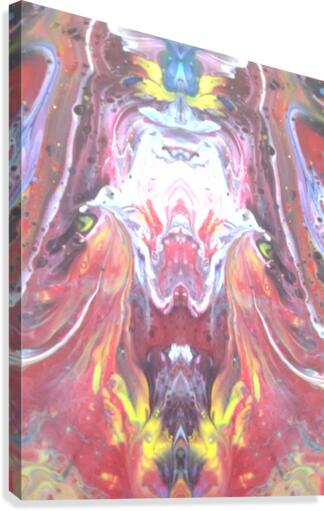 mirror25 Canvas Print