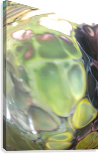 alien Canvas Print