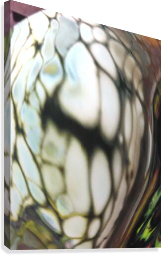 fractral Canvas Print