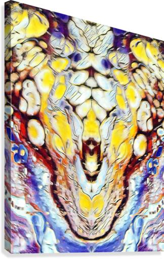 dragon Canvas Print