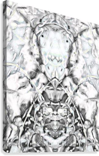m040 Canvas Print