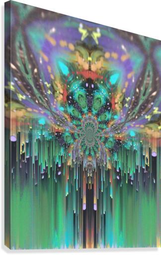 gj017 Canvas Print